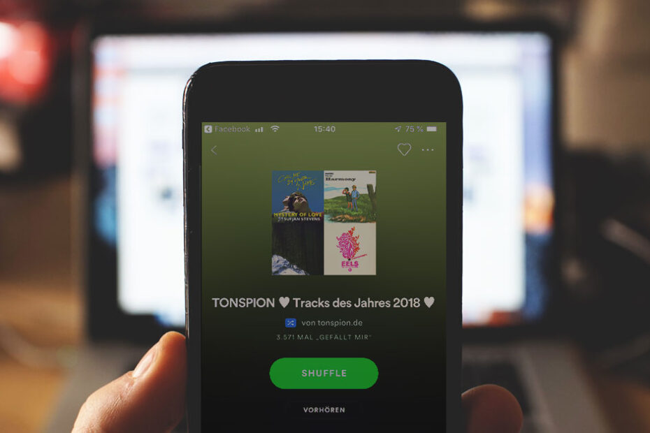 Spotify Verlauf (Bild: Tonspion)