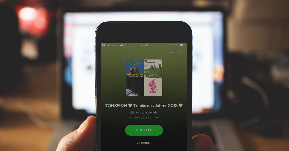 Spotify Verlauf (Bild: Tonspion)