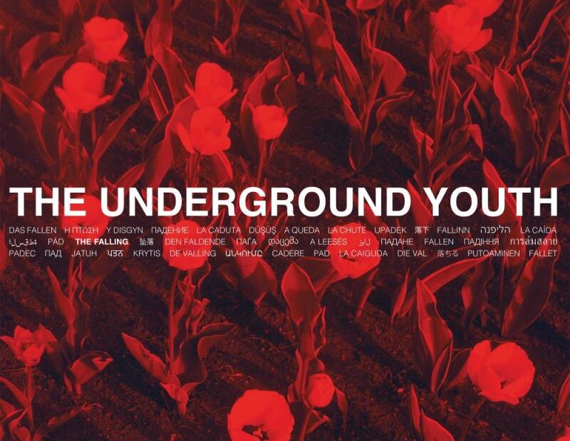 The Underground Youth - The Falling (Albumcover)