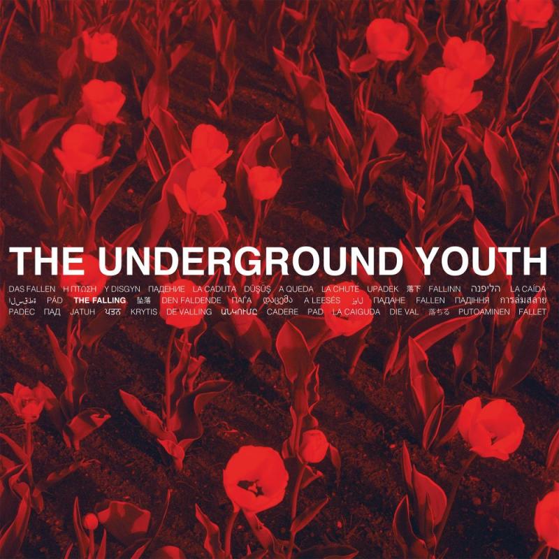The Underground Youth - The Falling (Albumcover)