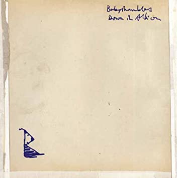 Babyshambles - Down In Albion (Albumcover)