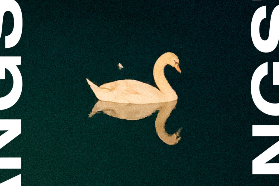 Bild vom Cover der Single: Hintergrund schwarz, in der Mitte ein weißer Schwan im Gewässer. Links und rechts vertikal Schriftzug "Angst", allerdings abgeschnitten
