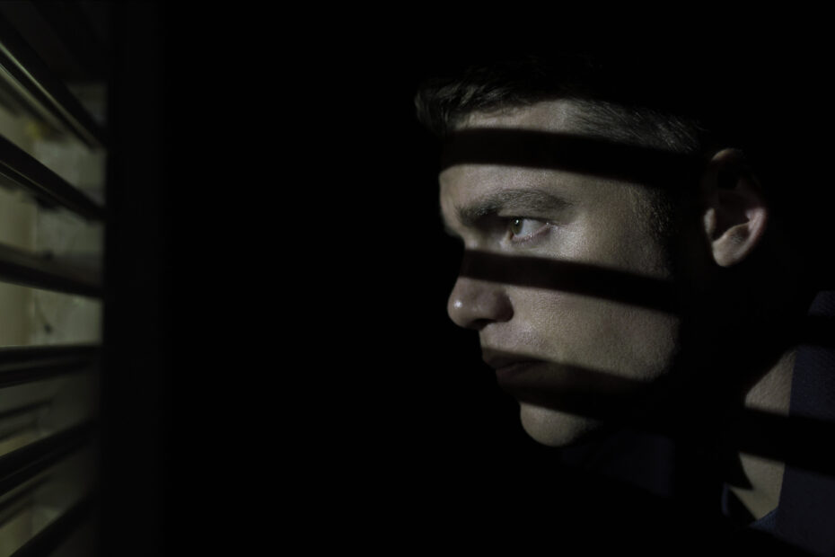 The Night Agent (Presspic, Netflix)