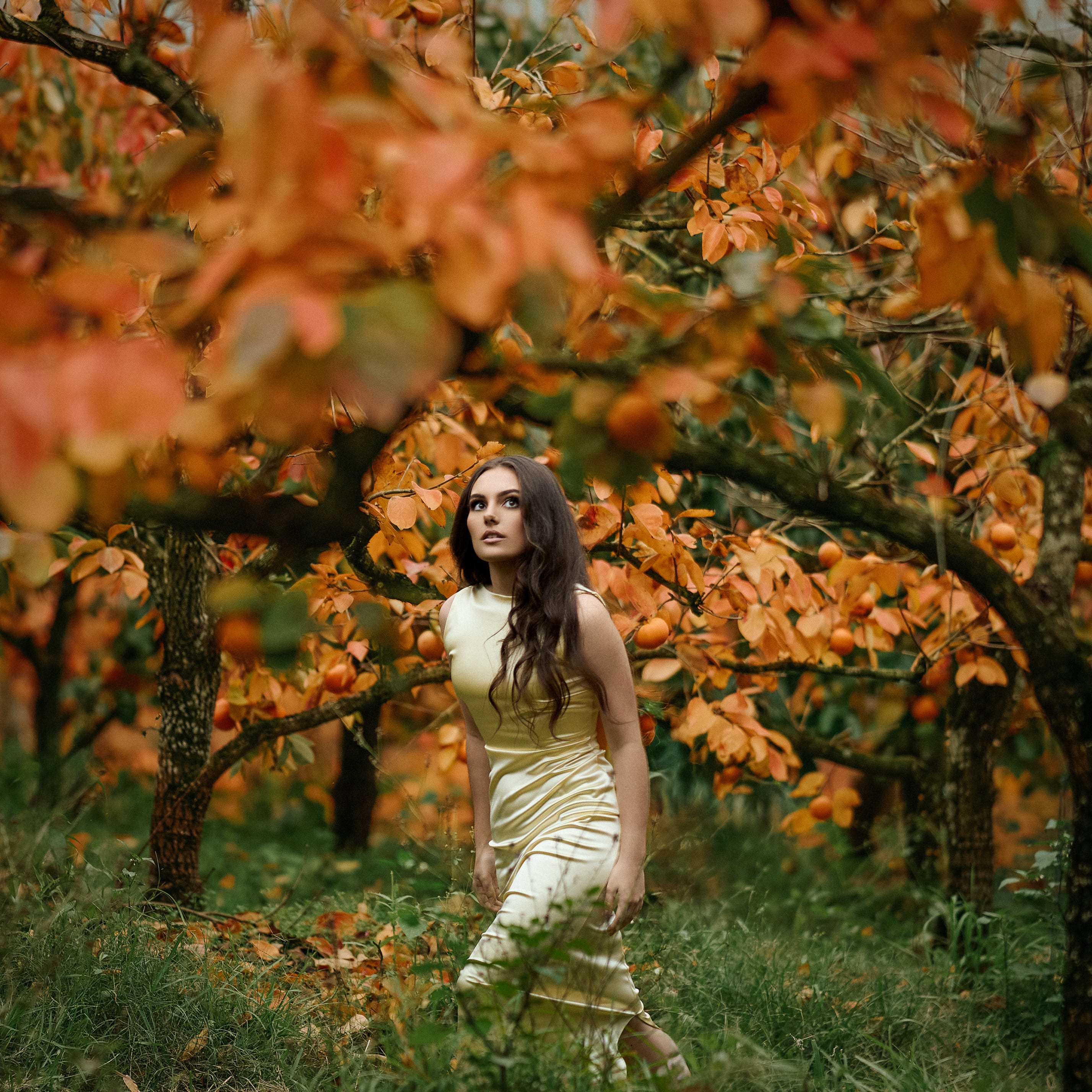 Lyra K "Goodbye"